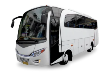 40 pax bus batam tour travel (1)