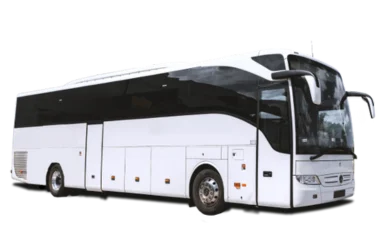 50 pox bus travel batam